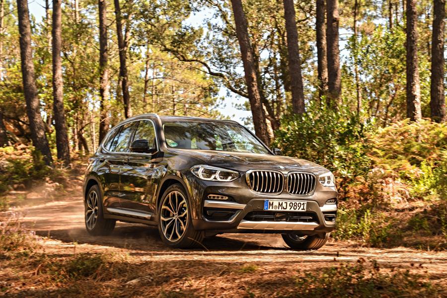  BMW X3 xDrive30d xLine (G01) 2017 года  (WW) (фото 107 из 178)